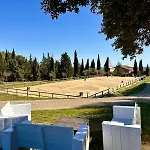 Des Vignes Et Quarante
