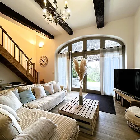 Des Vignes Et Quarante