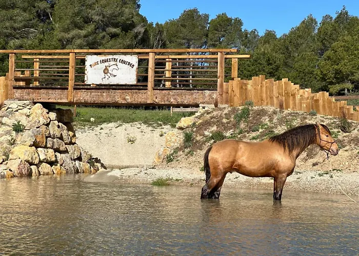 Des Vignes Et * Quarante